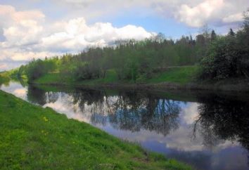 Oredezh – río en la región de Leningrado. Afluentes y las características geográficas del flujo de agua. La pesca y el turismo en el río