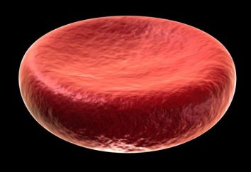 Coloque glóbulo vermelho. A estrutura de células vermelhas do sangue