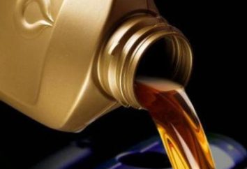 Olio per motori fuoribordo a due tempi – i tipi di base e la qualità