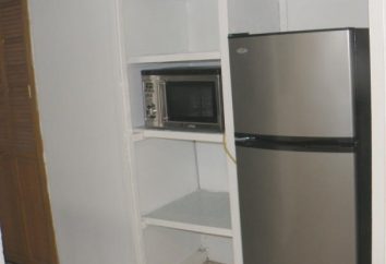 Vamos falar sobre se é possível colocar na geladeira microondas