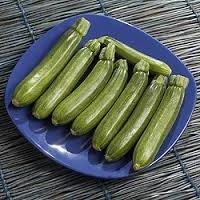 Die Zucchini nützlich, wenn in der Nahrung aufgenommen