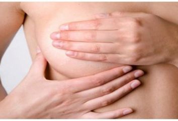 Algumas palavras sobre a beleza da mama, ou como fazer massagem para o aumento do peito?