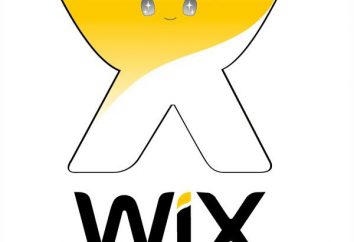 Wix.com – recensioni del progettista per creare siti web