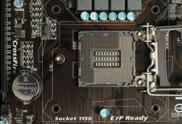 Socket 1150: L'histoire des types de CPU pris en charge et les spécifications techniques