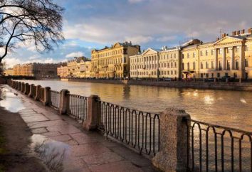 San Pietroburgo – una città sul fiume Neva. Le banche sinistro e destro Neva