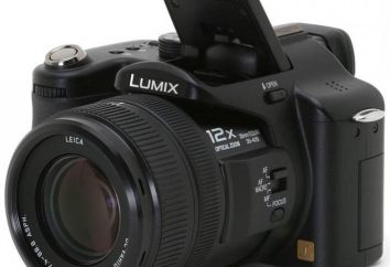 Fotocamera Panasonic Lumix DMC FZ50: Specifiche, istruzioni, recensioni