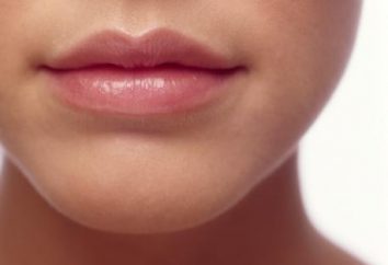Lip Butter – ¿qué elegir? Los comentarios de los aceites de labios