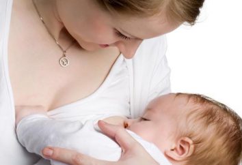 L'allattamento al seno. madre Punte di cura