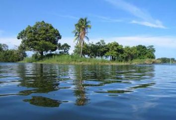 Lago Nicaragua: Descrizione serbatoio. Nicaragua lago e dei suoi abitanti spaventosi