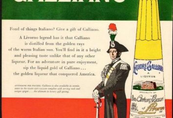 „Galliano” (ług): Opinie o smaku napoju