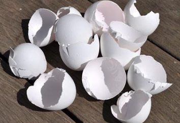 cascas de ovos como fonte de cálcio. Como cozinhar uma casca de ovo como fonte de cálcio