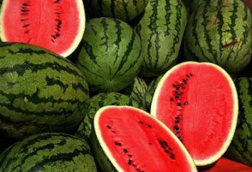 Nitraten in der Wassermelone – eine Bedrohung für die Gesundheit!