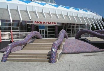 Aquapark in Kostanai "Octopus": spruzzi e divertimento tutto l'anno!