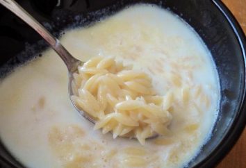 Consejos sobre cómo cocinar sopa de leche