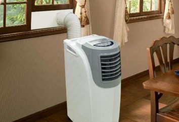 condicionadores de ar portátil Bork: manual, reveja os melhores modelos e comentários