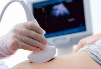 Renale ultrasuoni – regola decodifica: ubicazione, dimensioni
