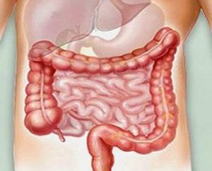 douleur intestinale dans le bas-ventre: les symptômes et les causes. Alimentation pour la douleur dans la région de l'intestin