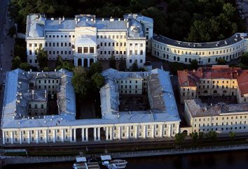 Anichkov Palace – ein historisches Denkmal von St. Petersburg