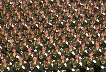 Día del Ejército ruso. Día del Ejército y la Armada de Rusia