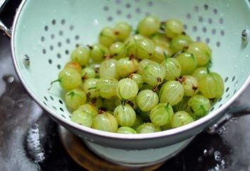Come fare la marmellata da uva spina: Proven Ways