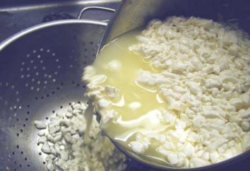 Lactosérum de fromage: ce qui est utile et comment il peut être utilisé