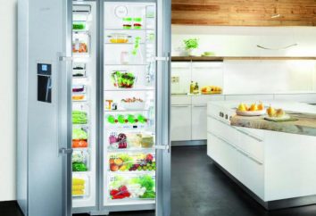 geladeiras dupla para a casa: uma visão geral dos melhores modelos