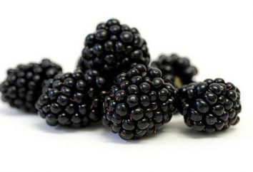 Blackberry. Les aliments riches en calories. structure