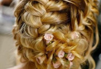 Flores do cabelo. Penteados para férias
