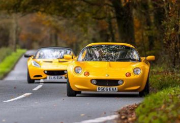 Car „Lotus Alice“: technische Spezifikationen, Beschreibungen und Bewertungen