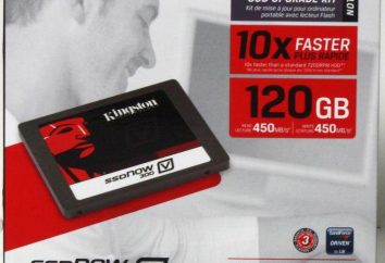 SSD Kingston V300: zapewnia i recenzje