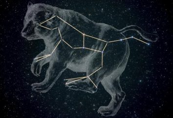 Konstelacji Ursa Major – mity i legendy o pochodzeniu