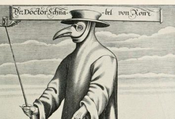 medico della peste mascherare le proprie mani. Come fare una maschera del medico della peste?