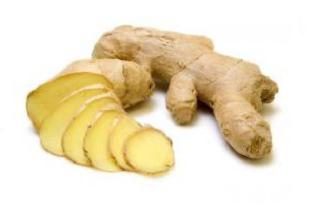 Ginger: propriétés utiles et contre-indications pour les femmes. gingembre mariné: propriétés utiles