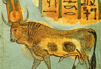 Apis – il sacro toro d'Egitto