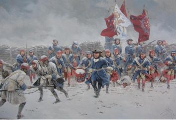 Wojna północna 1700-1721: najważniejsze wydarzenia, kamienie milowe i aktorzy