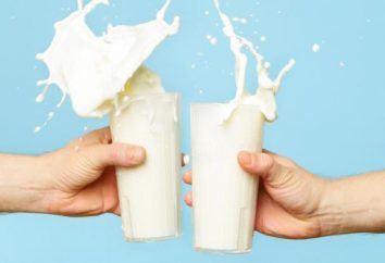 Wie viel Eiweiß in der Milch (100 Gramm). Wie viel Protein in Milchpulver