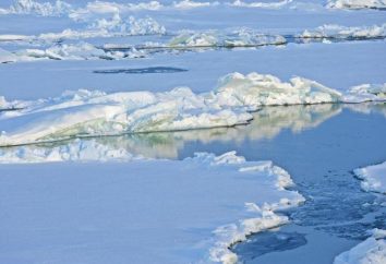 Co kontynenty są myte przez Ocean Arktyczny? produkt