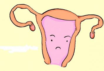 Wie das Endometrium zu erhöhen? verschiedene Möglichkeiten,