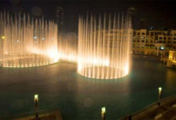 Famosa fontana a Dubai