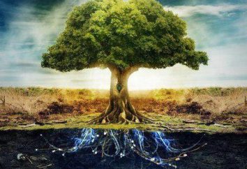 „World drzewo” Słowianie