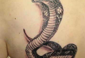 Co oznacza tatuaż „węża”?