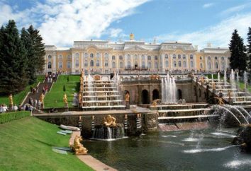 Padiglione della zarina in Peterhof: descrizione, ore di funzionamento. Come arrivare a Peterhof a San Pietroburgo?