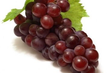 Winogrona „nizinny”: charakterystyka i opis danej odmiany. W trosce o kulturę wina