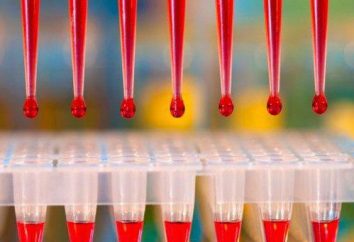 Emoglobina nel test del sangue: designazione. Decifrare esame del sangue