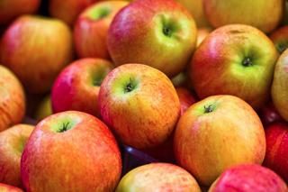Le varietà più adatte di alberi di mele per i sobborghi