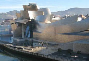 Museo di Guggenheim. Musei di New York