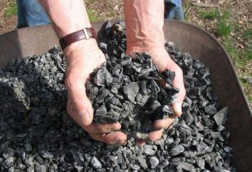 Węgiel: produkcja w Rosji i na świecie. Położenie i sposób wydobycia węgla