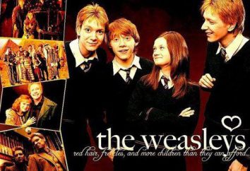 George Weasley i Fred Weasley są złośliwymi bliźniętami z opowieści o chłopcu, który przeżył