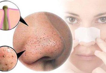 Cómo limpiar los poros de la nariz en el hogar?