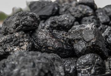 Qu'est-ce que le charbon, ainsi que ce qu'il est extrait? Les dirigeants du pays dans les mines de charbon